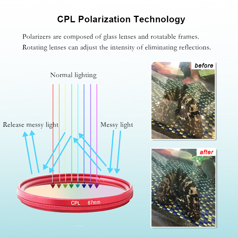 Filtro CPL Antireflejo de 52 m - Photography Outdoor reseña y precio